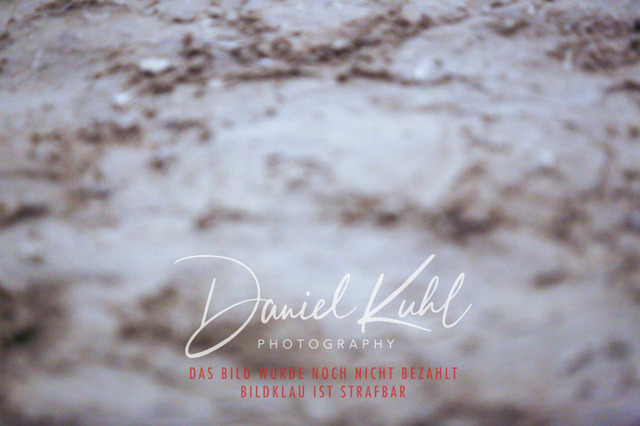 IMG_8410 | Turniersportfotografie; Pferdefotografie; Dressurfotografie