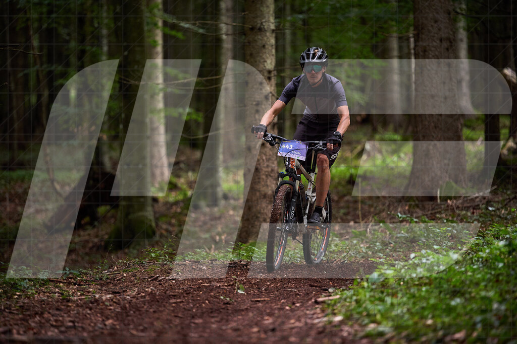 Betriebszentrum Laubenbachmühle, Frankenfels, Österreich - 13. September 2025: Dirndltal Race - Fun und Trophy RaceFotograf: Martin Bihounek / martinbihounek.com | 13. September 2025 Betriebszentrum Laubenbachmühle, Frankenfels, Österreich : Dirndltal Race - Fun und Trophy Race •••••Photo by: Martin Bihounek / martinbihounek.comInsta: @martinbihounekcom