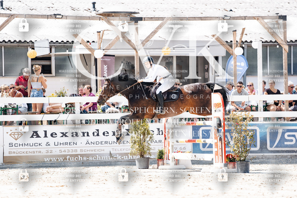 CK909946 | Turnierfotografie Pferdefotografie Trier Rheinland-Pfalz Pferdesport Reitsport Tierfotografie Sportfotografie Pferdevideo Pferdevideografie Equestrianvideography equestrianphotography  - Realisiert mit Pictrs.com