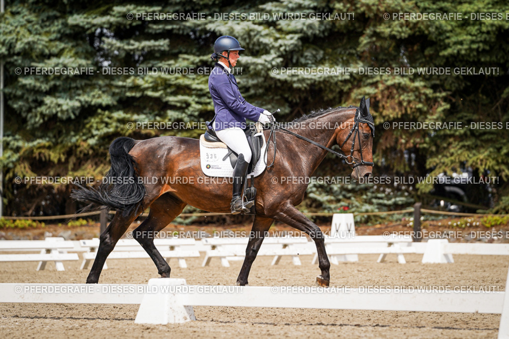 DSC03937 | Pferdegrafie