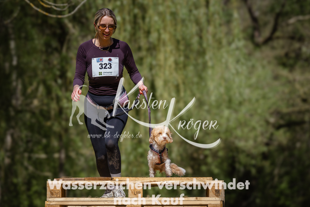 1250_ZZ94602 | kk-dogfotos