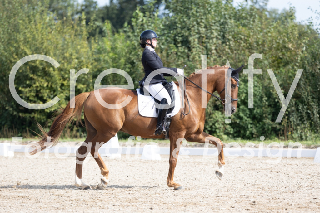 IMG_3275 | Creatify Fotografie