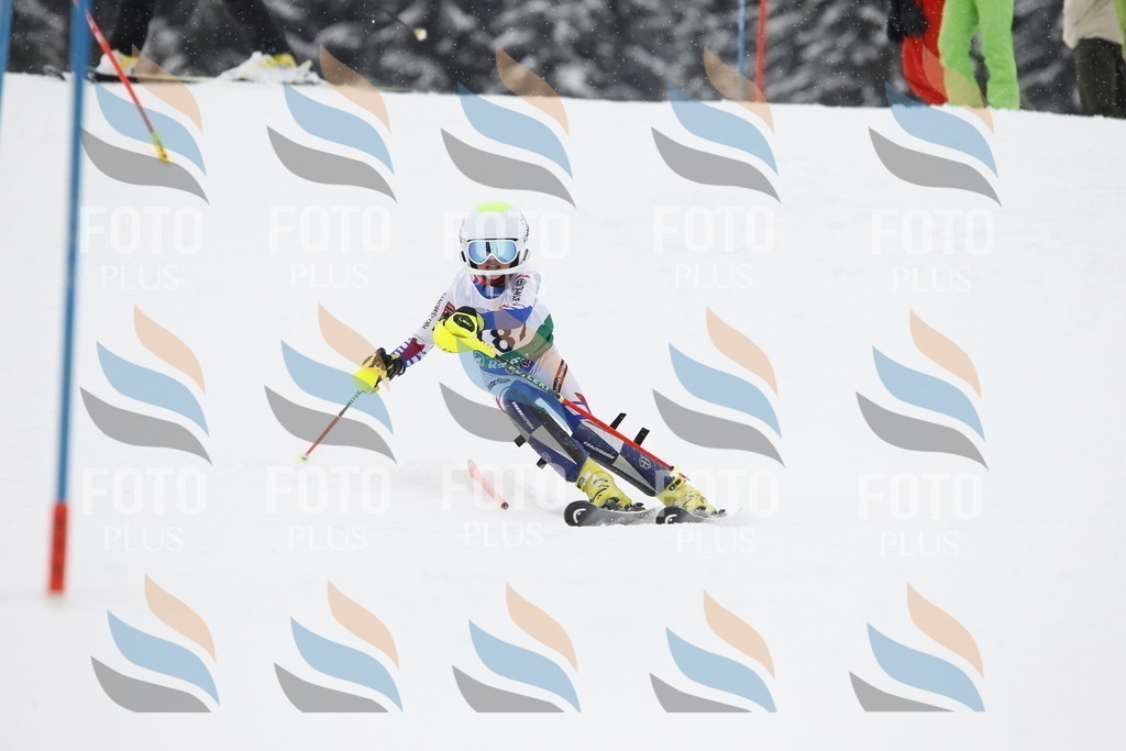 A2124 | holidayphoto