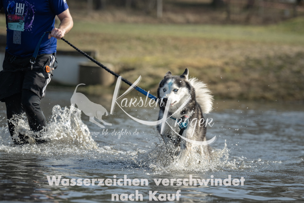 1302_ZZ94063 | kk-dogfotos