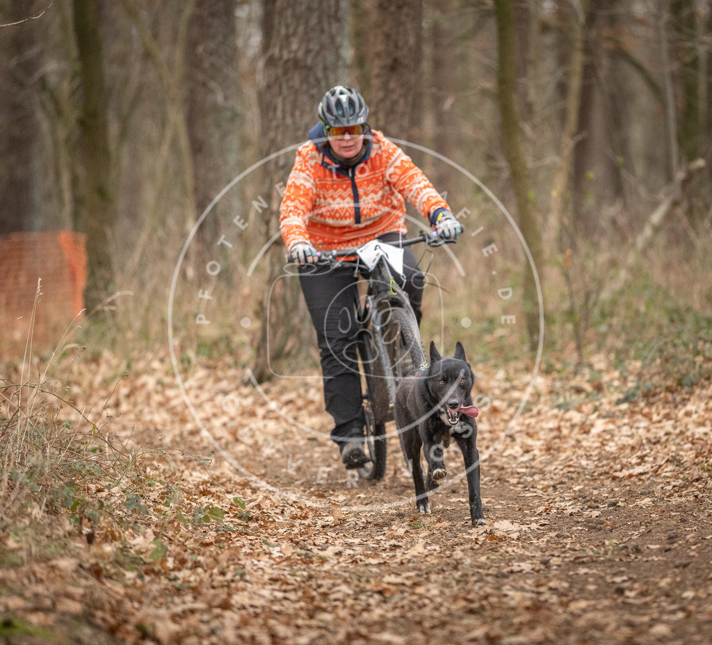 Pfotenfotografie_DV3A0296 | Hundefotografie, Tierfotograf, Pfotenfotografie, Fotoshooting Hund, Hunde Portrait, Hundesport, Hundeportraits, Heideshooting, Hunde, Sportfotograf, Hundefotograf, Turnierhundsport, THS,  - Realisiert mit Pictrs.com