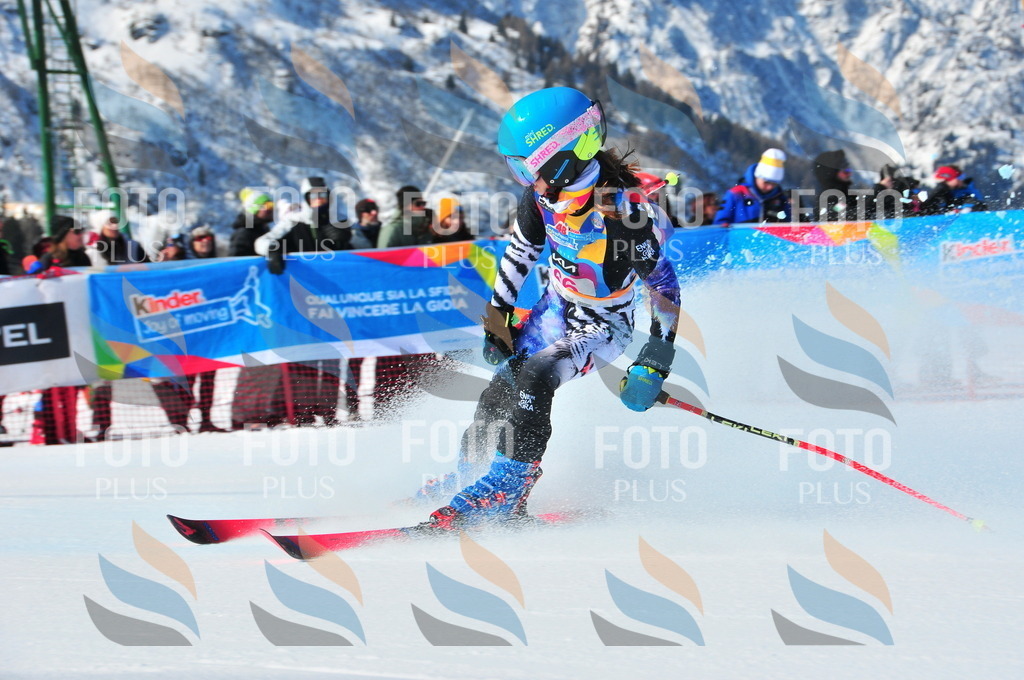 DSC_4245 | holidayphoto