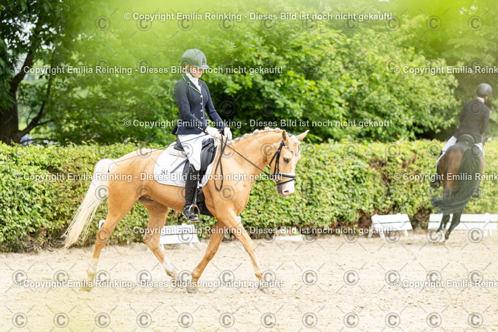 CL5A1880 | Emilia Reinking Fotografie - Realisiert mit Pictrs.com