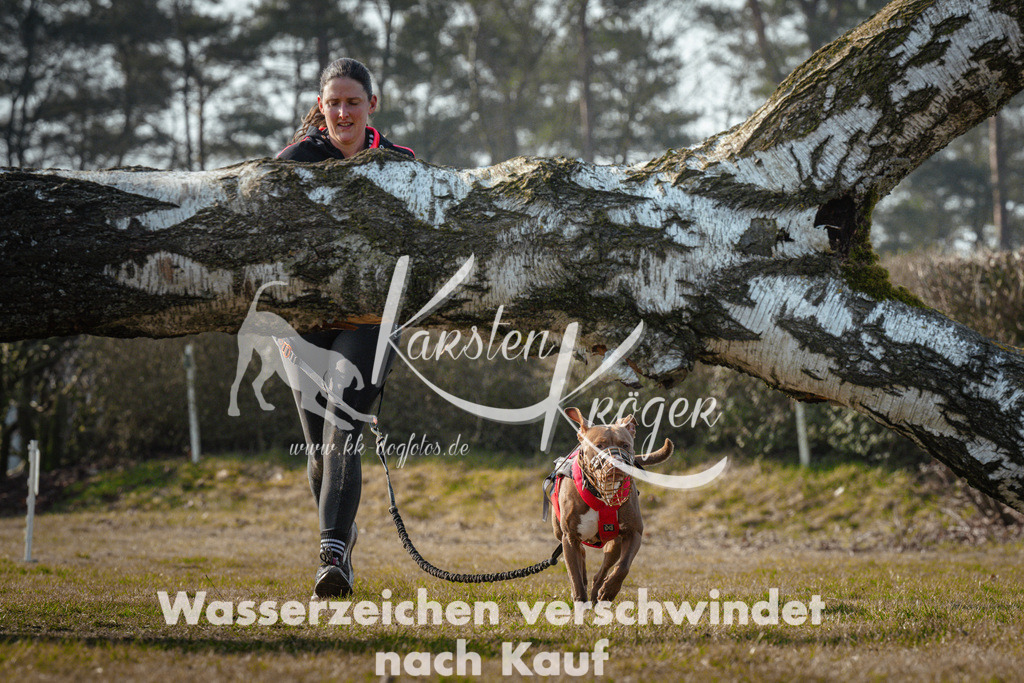 0947_ZZ99970 | kk-dogfotos