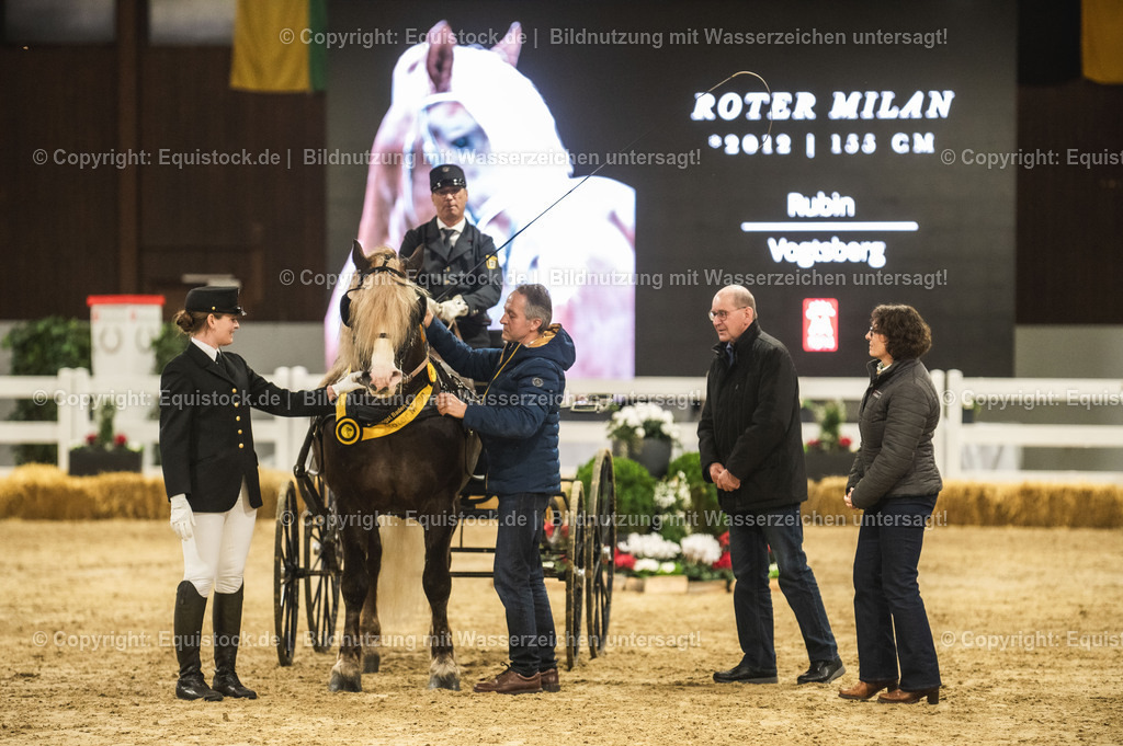 20240302_Hengstvorstellung_Marbach_TOMsPiC_0656 | equistock