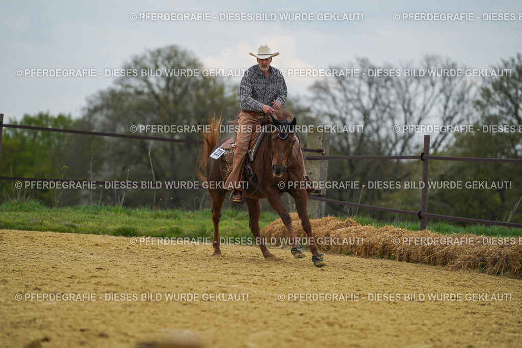 DSC06850 | Pferdegrafie