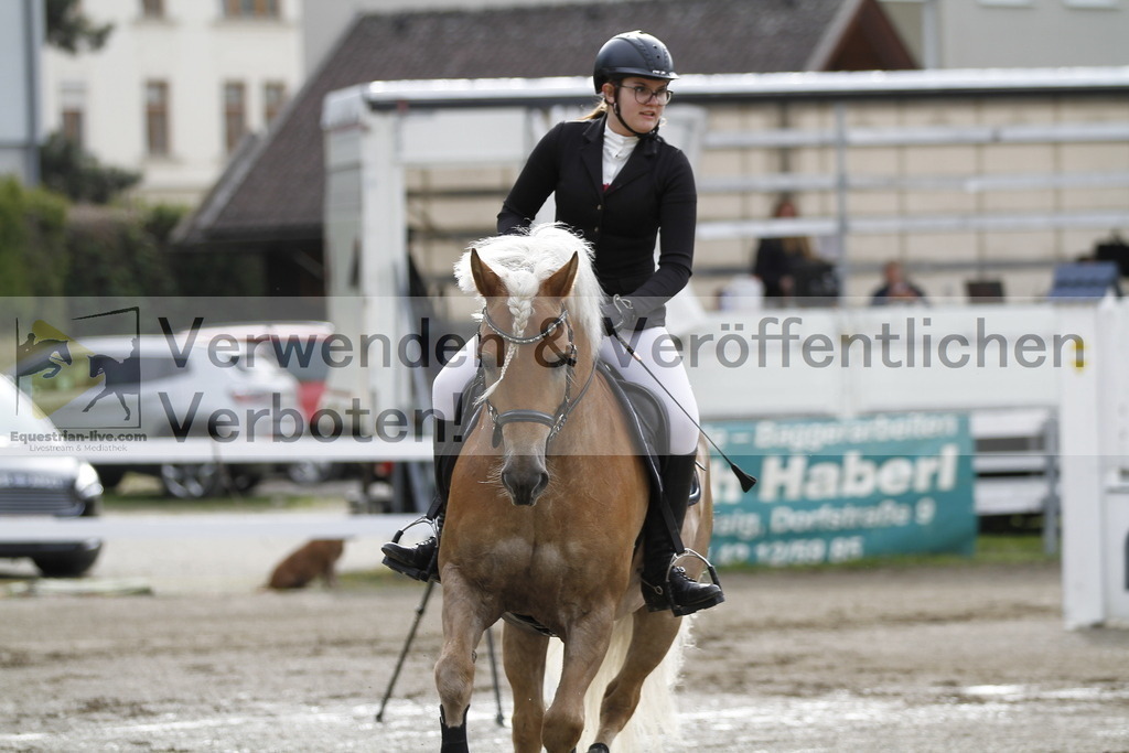 _MG_1273 | equestrian-live-com