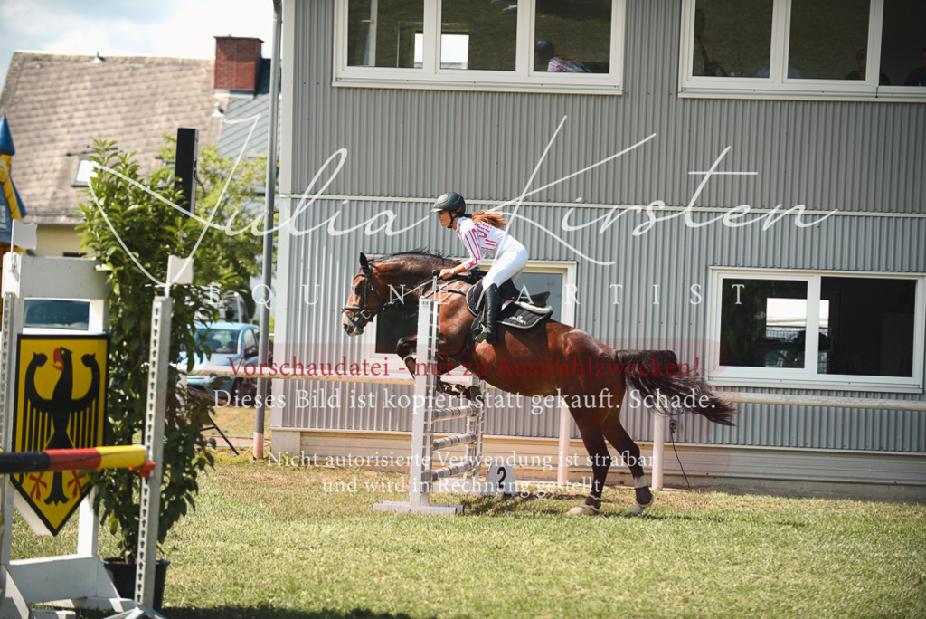 DSC_6556 | Pferde- und Turnierfotografie in Westsachsen. Pferdeportraits, Auftragszeichnungen und intuitive Kunst.