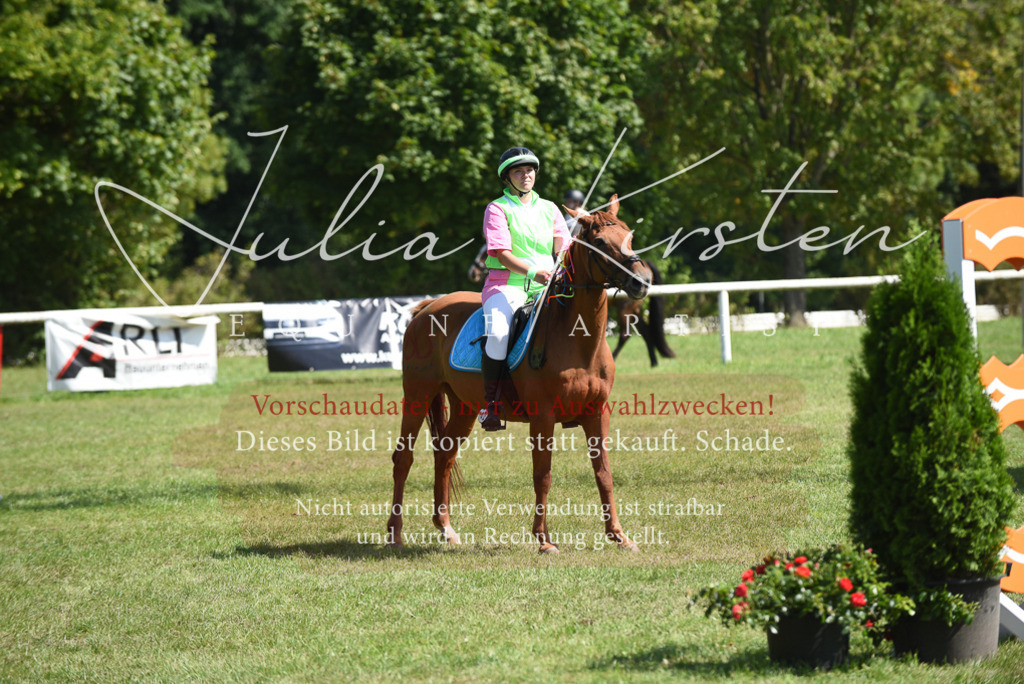 DSC_0413 | Pferde- und Turnierfotografie in Westsachsen. Pferdeportraits, Auftragszeichnungen und intuitive Kunst.
