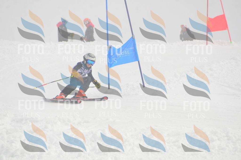 A5344 | holidayphoto