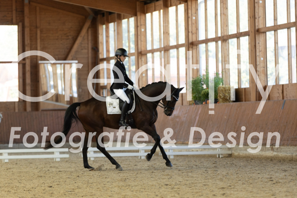 IMG_8652 | Creatify Fotografie