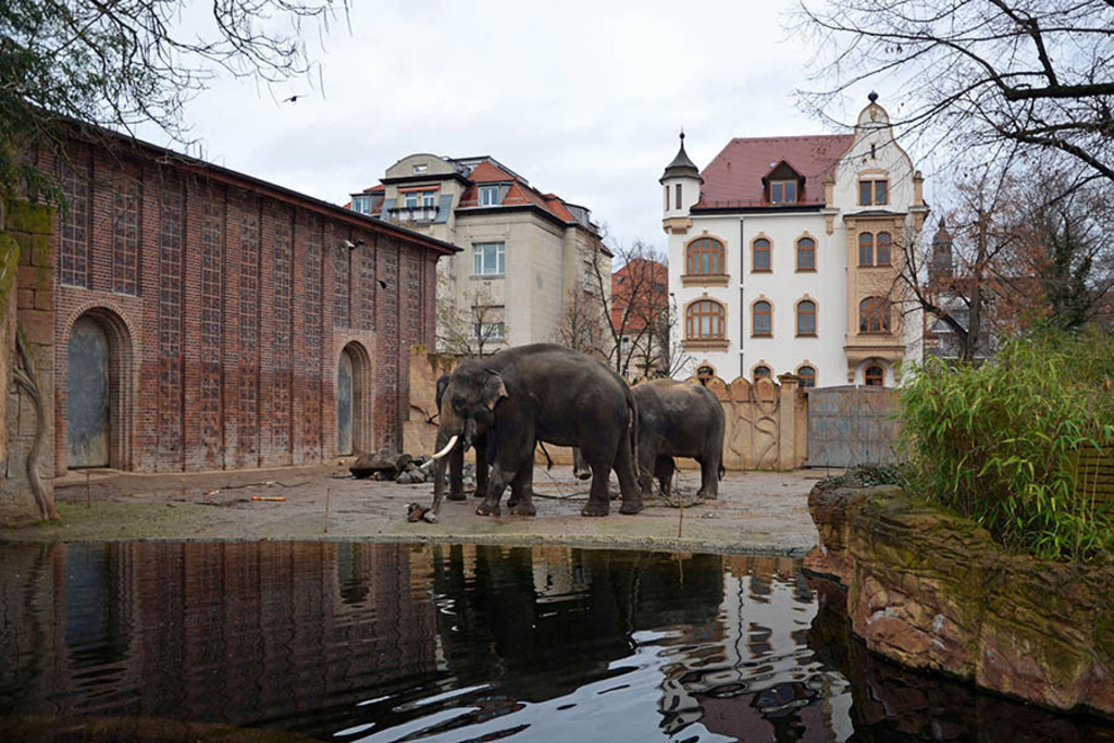Elefantentempel Ganesha Mandir im Zoo | Entdecke über 20 Kategorien Leipzig-Motive: Foto-Downloads, hochwertige Poster, Leinwand- & Fine-Art-Prints. Jetzt Lieblingsfoto im Bildlexikon Leipzig Shop bestellen!