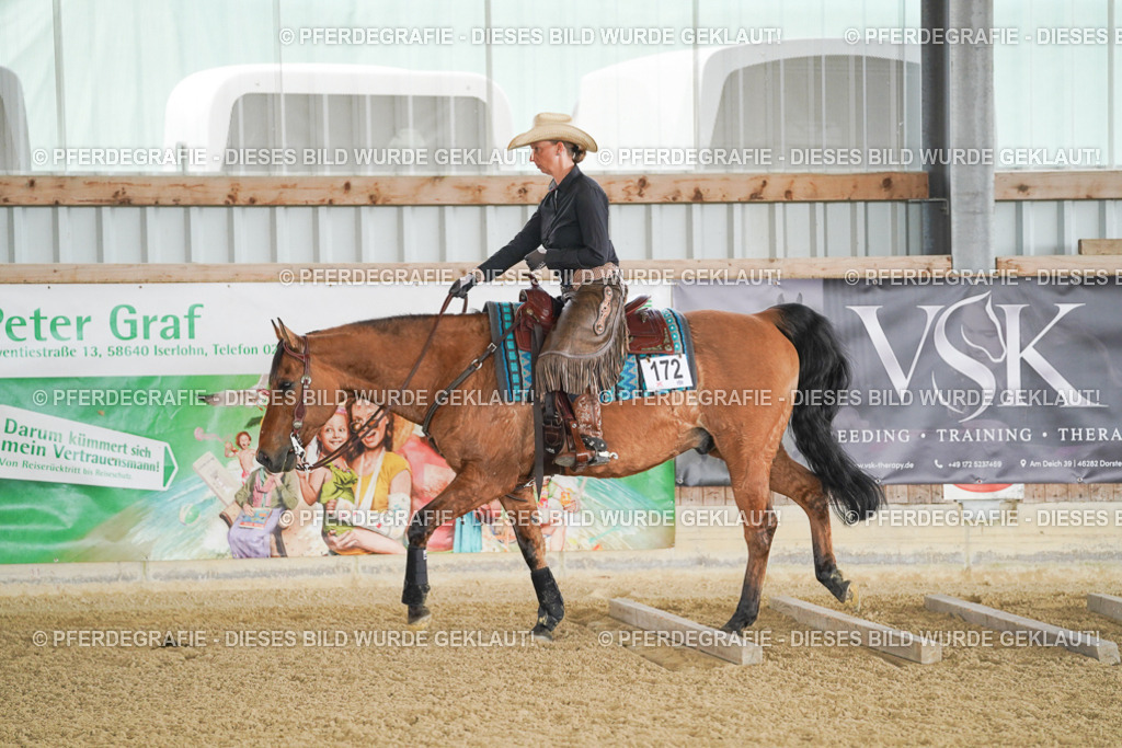 DSC03000 | Pferdegrafie