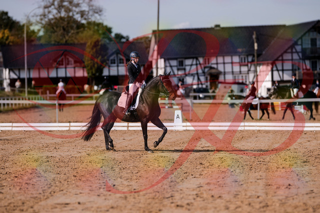 2026_10_03_Siefer-Hof_121406_Z81_15353676 | Professionelle Reitsport-, Turnier- und Eventfotografie von Robert Broda. Galerien mit ausgewählten und bearbeiteten Bildern direkt online ansehen und bestellen.