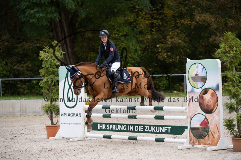 A7V08002 | Pferdefotograf