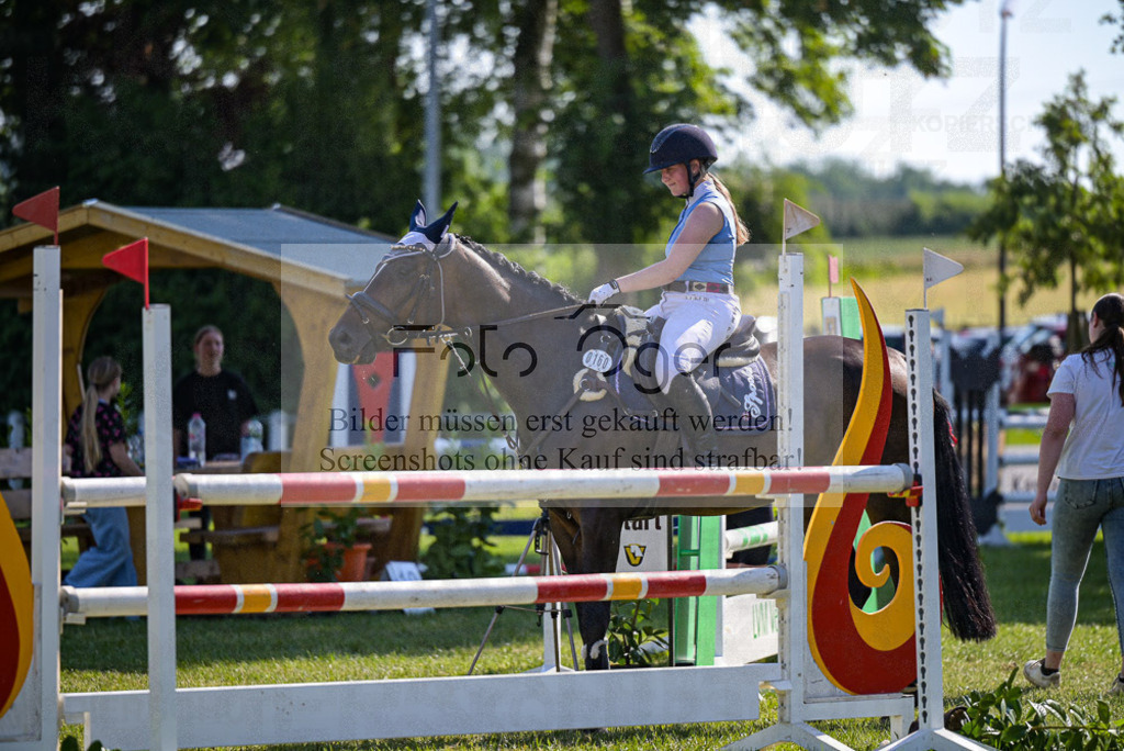 Reitturnier Voxtrup | Entdecke hochwertige Reitturnierfotos von Foto Oger. Professionell, emotional und authentisch – jetzt Lieblingsmomente im Shop bestellen.Deutschlandweite Turnierfotografie. - Realisiert mit Pictrs.com