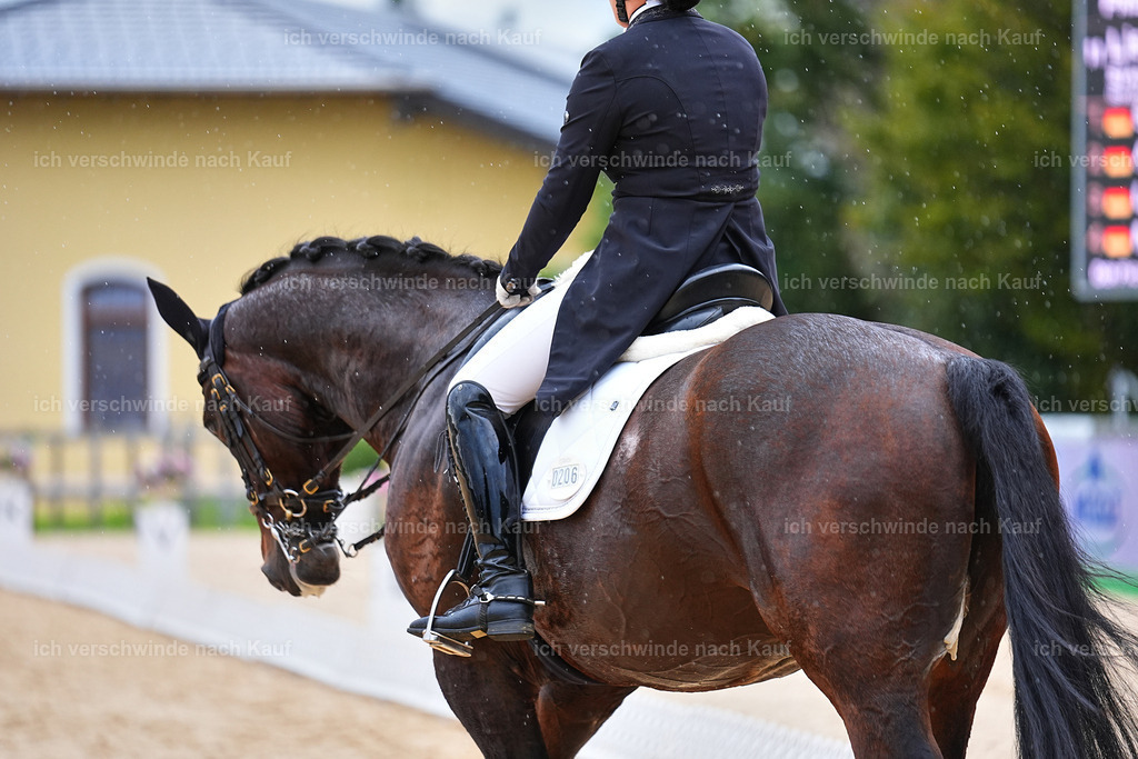 8_1-206-Klasse S_  -Marixx-4254 | working equitationturnier fotograf videograf stoibphotography marixx film working equitation deutschland reitsport turnierfotografie eventfotografie equestrian events