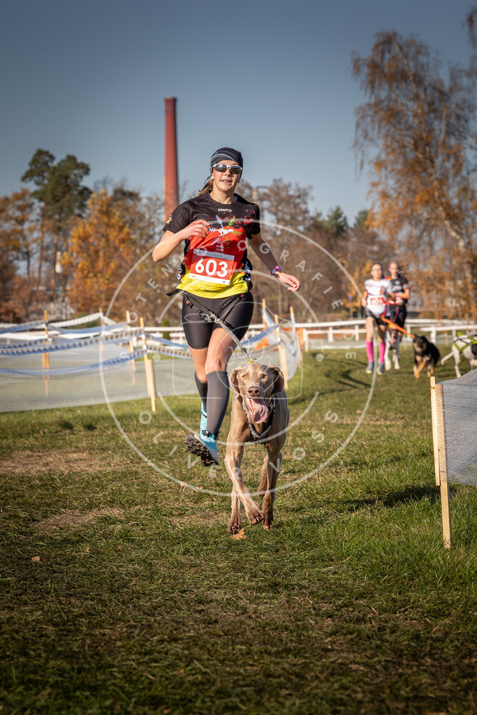 CaniXpix_0L8A8552 | Hundefotografie, Tierfotograf, Pfotenfotografie, Fotoshooting Hund, Hunde Portrait, Hundesport, Hundeportraits, Heideshooting, Hunde, Sportfotograf, Hundefotograf, Turnierhundsport, THS,  - Realisiert mit Pictrs.com