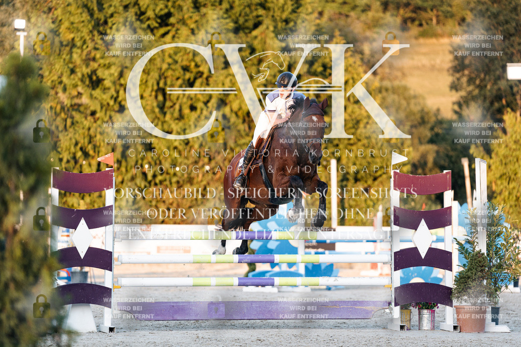 CK901262 | Turnierfotografie Pferdefotografie Trier Rheinland-Pfalz Pferdesport Reitsport Tierfotografie Sportfotografie Pferdevideo Pferdevideografie Equestrianvideography equestrianphotography  - Realisiert mit Pictrs.com