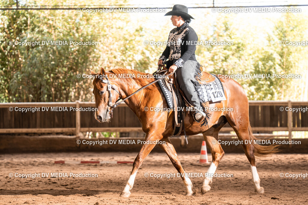 Erbach Tag 1-620 | dv-media-shop - Realisiert mit Pictrs.com