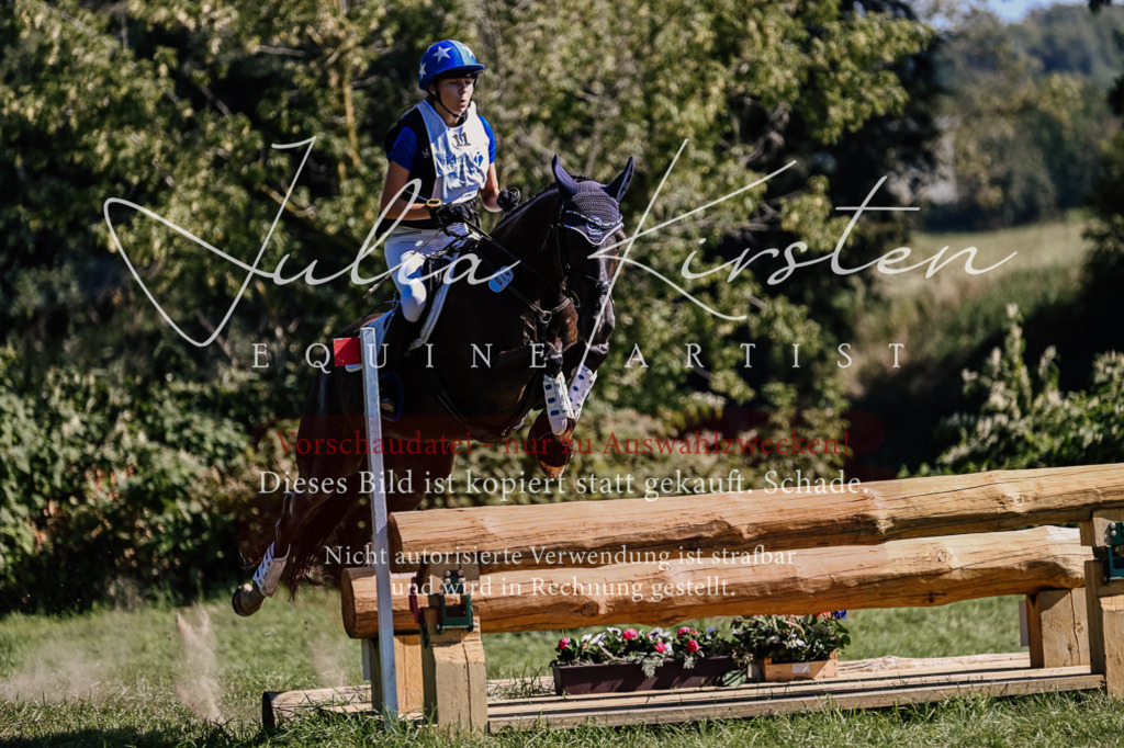 DSC_1706 | Pferde- und Turnierfotografie in Westsachsen. Pferdeportraits, Auftragszeichnungen und intuitive Kunst.