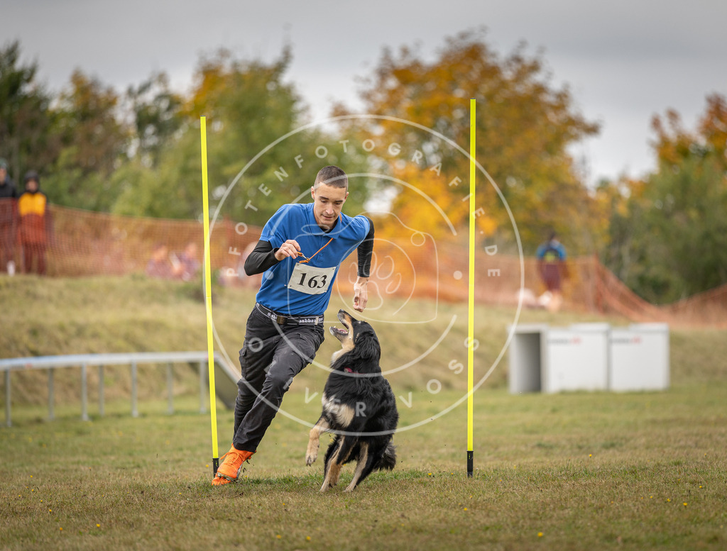 Pfotenfotografie_DV3A5233 | Hundefotografie, Tierfotograf, Pfotenfotografie, Fotoshooting Hund, Hunde Portrait, Hundesport, Hundeportraits, Heideshooting, Hunde, Sportfotograf, Hundefotograf, Turnierhundsport, THS,  - Realisiert mit Pictrs.com