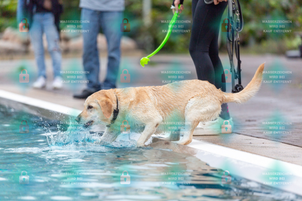 _HP_7143_1000o | HetPix, HetPix Fotodesign, Fotografie, Fotodesign, Webshop, Sportfotografie, Portraitfotografie, Onlineshop, Sportfotografie, Polch, Motorsportfotografie, Eventfotografie