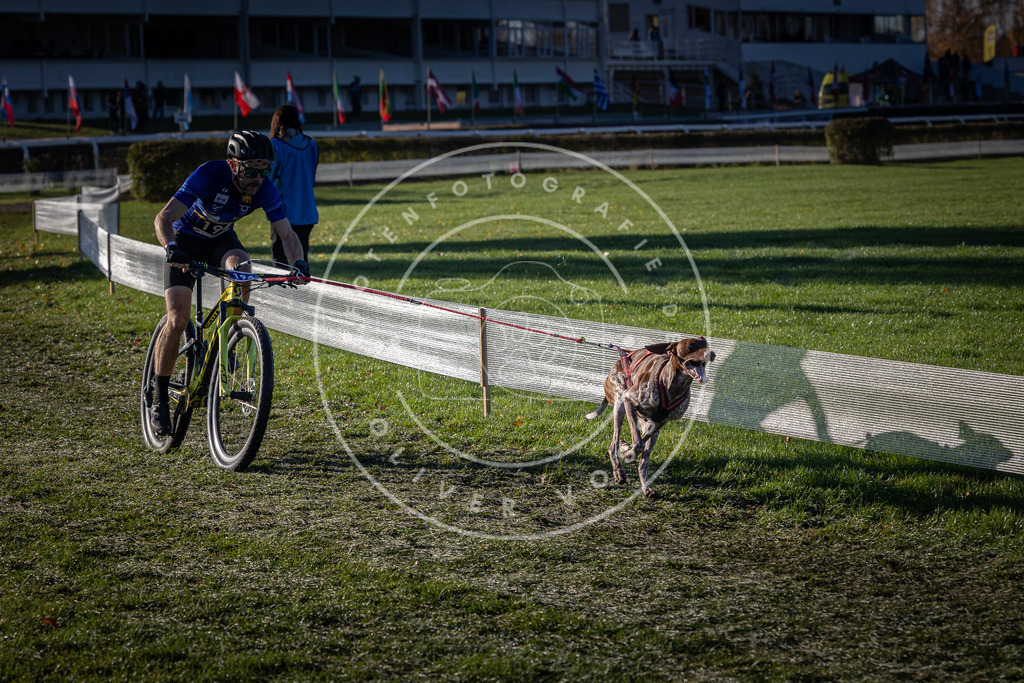 CaniXpix_0L8A4214 | Hundefotografie, Tierfotograf, Pfotenfotografie, Fotoshooting Hund, Hunde Portrait, Hundesport, Hundeportraits, Heideshooting, Hunde, Sportfotograf, Hundefotograf, Turnierhundsport, THS,  - Realisiert mit Pictrs.com