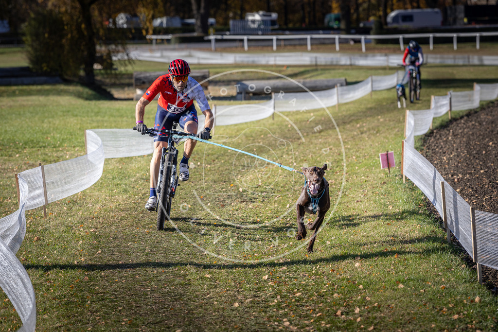 CaniXpix_DV3A6130 | Hundefotografie, Tierfotograf, Pfotenfotografie, Fotoshooting Hund, Hunde Portrait, Hundesport, Hundeportraits, Heideshooting, Hunde, Sportfotograf, Hundefotograf, Turnierhundsport, THS,  - Realisiert mit Pictrs.com