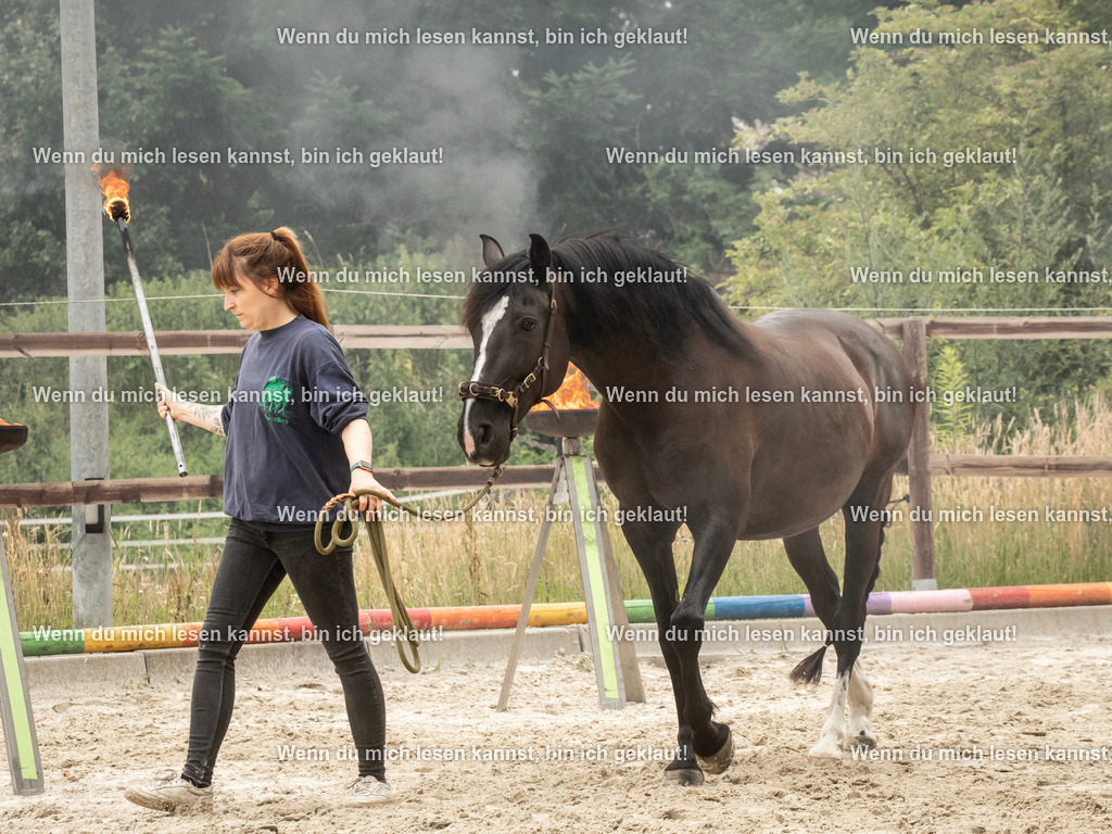 598A7868 | photographylinaismer - Realisiert mit Pictrs.com