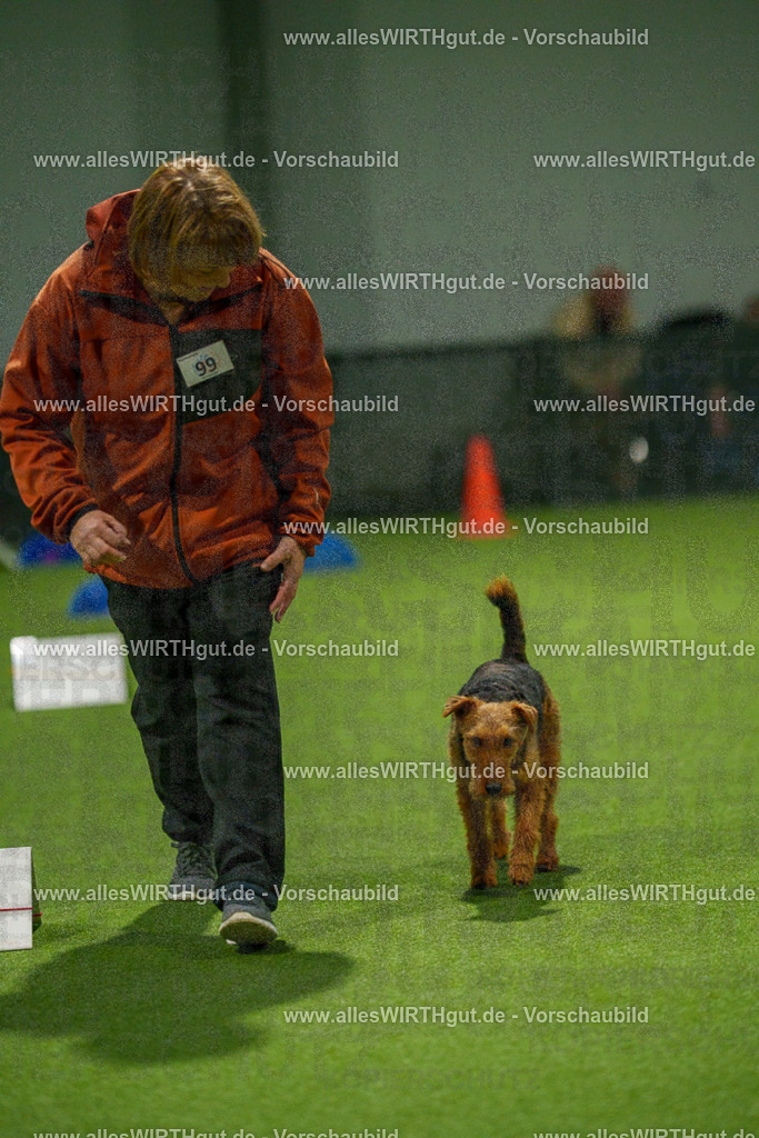 7R509214 | Professionelle Tierfotografie in Mönchengladbach von Daniel Wirth (allesWIRTHgut). Liebevolle & natürliche Bilder von Hunden & Katzen für unvergessliche Erinnerungen.