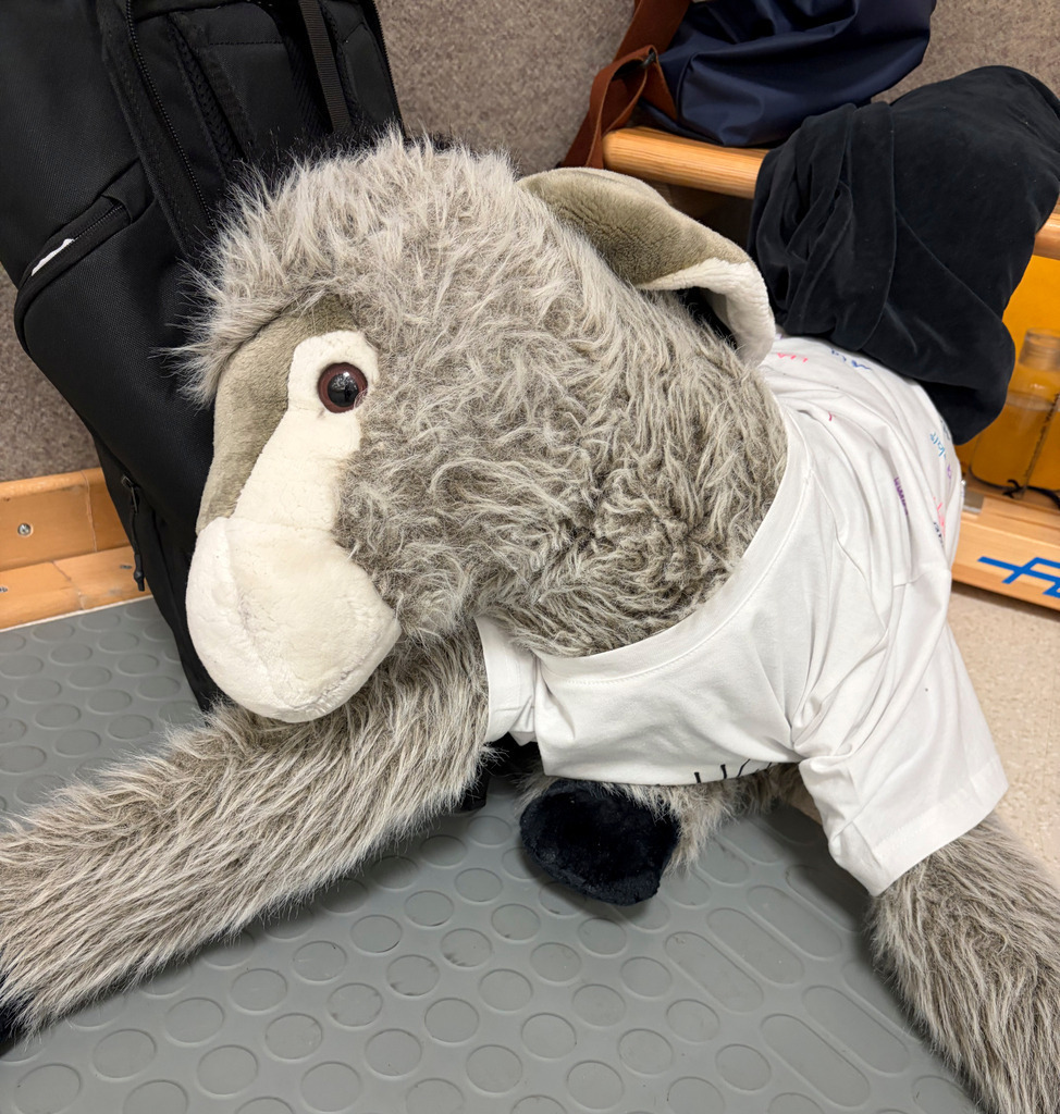 top-top.de 260323-224 | Foto, Video, Fotografie, Videografie, Fotobox, DJ, Discjockey, Musik, Musikbox, Veranstaltung, Photobooth, Amazon, Ebay, Buchtipp, Bestseller, Autor, Verlag, Buch, Wesel, Hamminkeln, NRW, Dinslaken, Rees, Drohne, Hochzeit, Party, Fotobox, Wesel, Fotograf