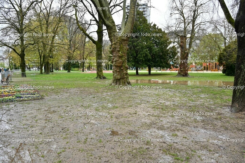 Volksgarten Linz_ 15.04.2023-7 | 15.04.2023, Linz, AUT, Volksgarten, im Bild Volksgarten Linz, Gruenanlage, Park