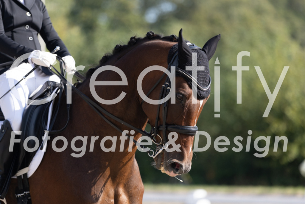 IMG_2423 | Creatify Fotografie