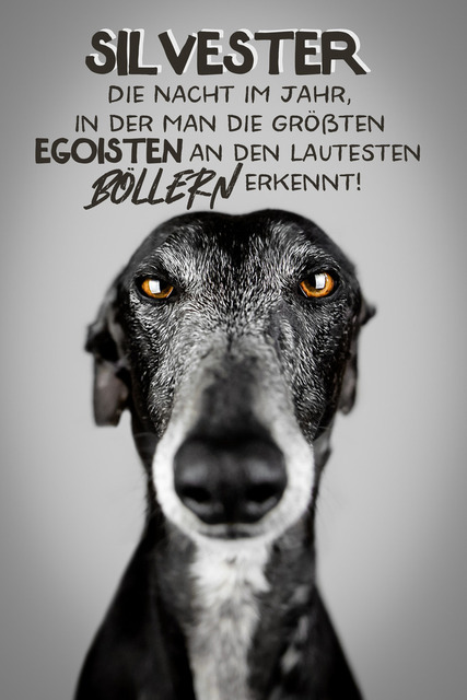 Nicos Silvester  | "Silvester. Die Nacht im Jahr, in der man die größten Egoisten an den lautesten Böllern erkennt!"