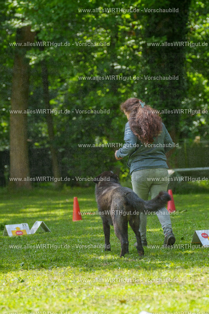 @allesWIRTHgut_Tierfotografie - www.allesWIRTHgut.de - 7R504694 | Professionelle Tierfotografie in Mönchengladbach von Daniel Wirth (allesWIRTHgut). Liebevolle & natürliche Bilder von Hunden & Katzen für unvergessliche Erinnerungen.