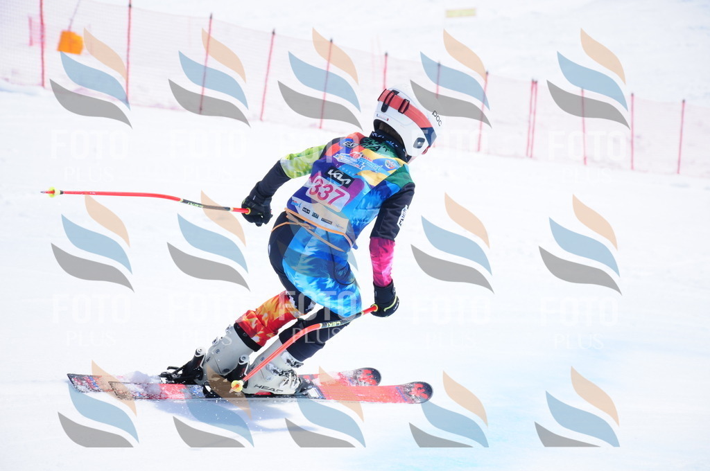 DSC_7008 | holidayphoto