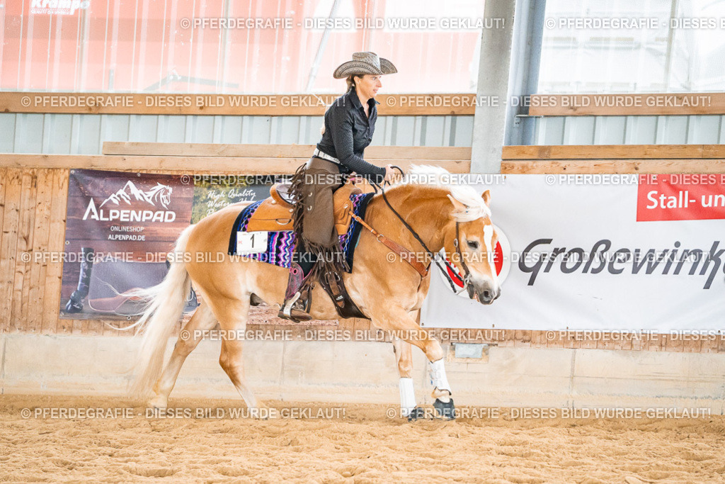 DSC01055 | Pferdegrafie