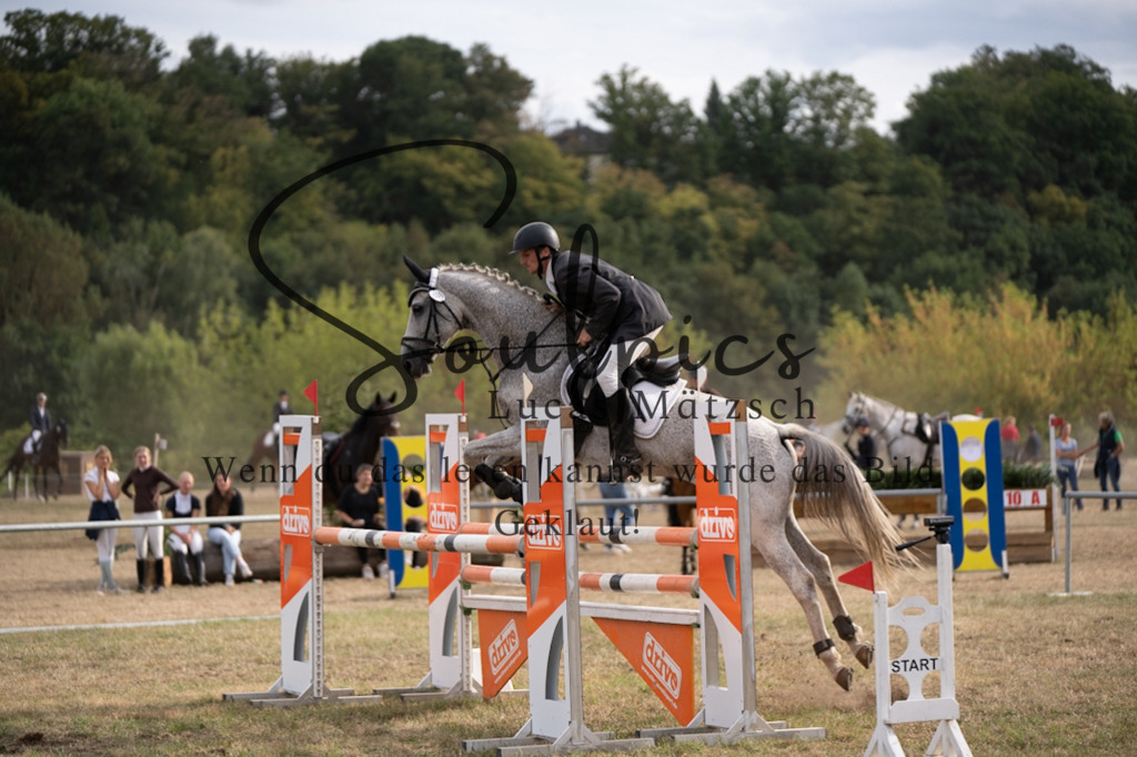 A7V09579 | Pferdefotograf