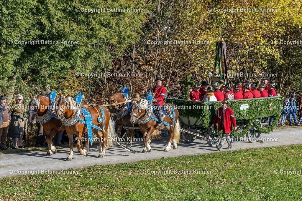LBT25-860 | foto-bettina-krinner - Realisiert mit Pictrs.com