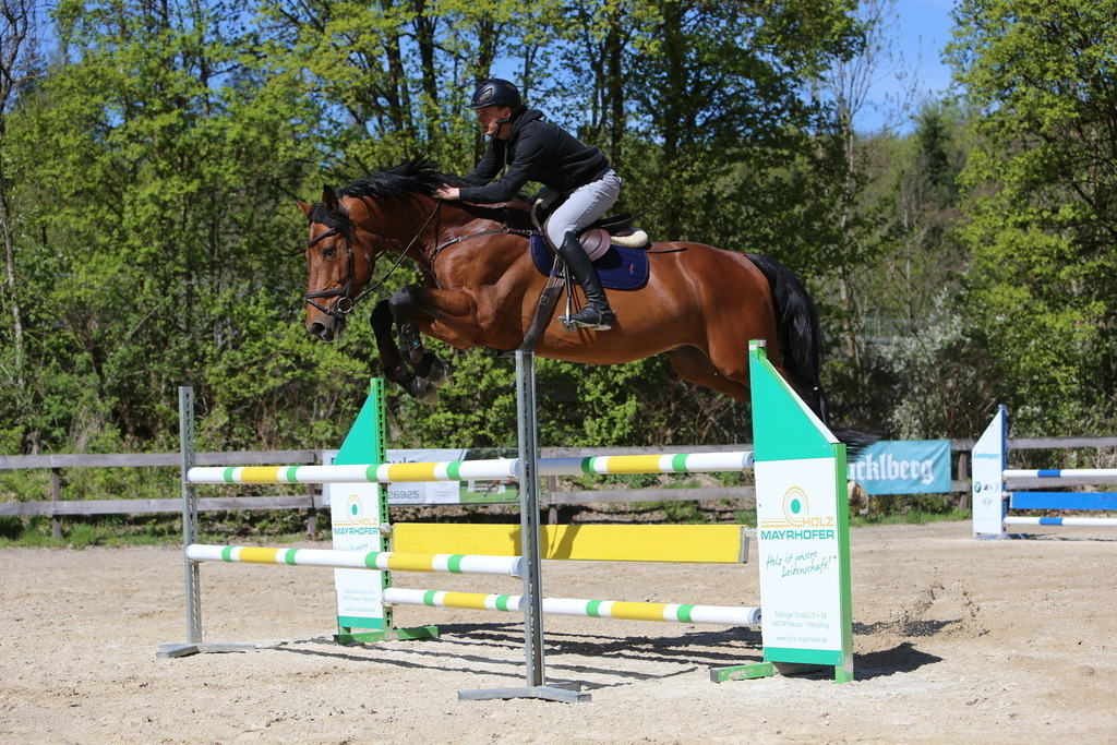 DL2Q3145 | Willkommen bei Brunnmayr - Design & Fotografie – Ihrem Spezialisten für Reitturniere und Pferdeveranstaltungen in Oberösterreich, Salzburg und Bayern! Seit über 17 Jahren sind wir leidenschaftlich dabei.