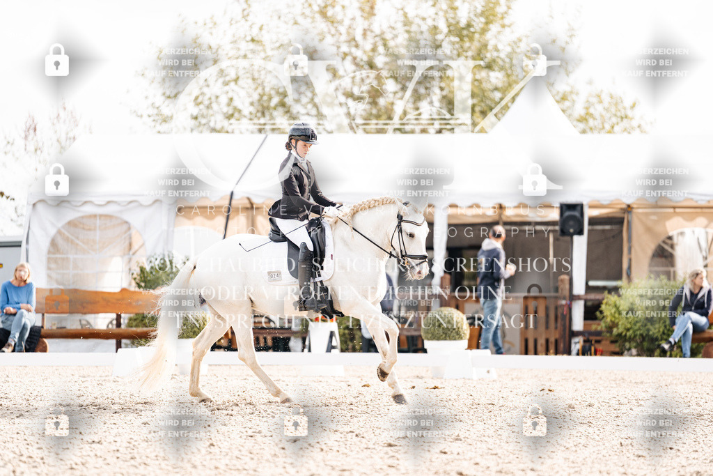 CK901228 | Turnierfotografie Pferdefotografie Trier Rheinland-Pfalz Pferdesport Reitsport Tierfotografie Sportfotografie Pferdevideo Pferdevideografie Equestrianvideography equestrianphotography  - Realisiert mit Pictrs.com