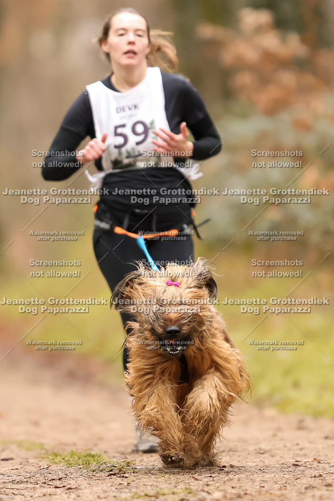 Dog Paparazzi - Speedhunter Mannheim  2025-172 | Dog Paparazzi Jeanette Grottendiek Fotografie & Videografie