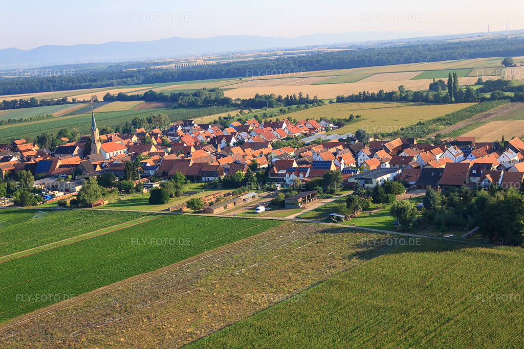 Luftbild: Ortsansicht von Süden in Erlenbach bei Kandel im Bundesland Rheinland-Pfalz in Deutschland. Foto: IMG_70234.jpg vom 19.07.2014 durch Werner Riehm/FLY-FOTO.deAuflösung des Originals: 4752 x 3168 px
