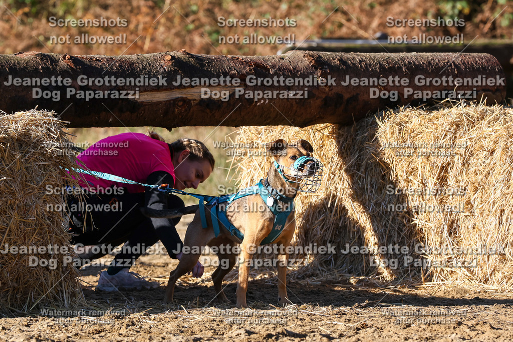 Dog Paparazzi - Strongdog 10-25-1825 | Dog Paparazzi Jeanette Grottendiek Fotografie & Videografie - Realisiert mit Pictrs.com