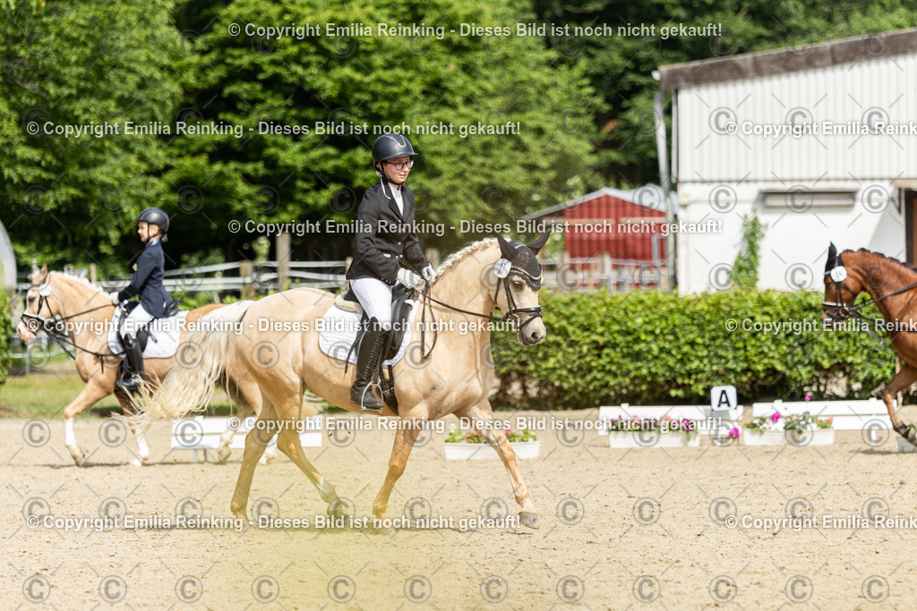 CL5A1265 | Emilia Reinking Fotografie - Realisiert mit Pictrs.com